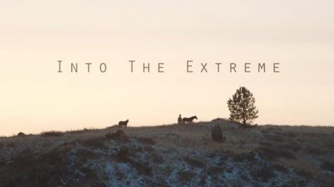 Into the Extreme